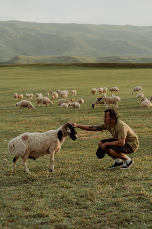 Un pastor cuidando de sus cabras