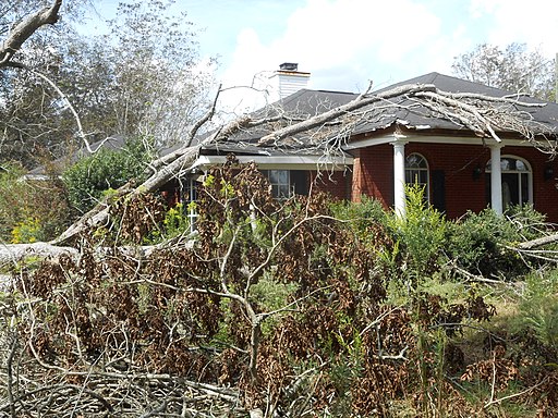 La imagen muestra una casa con un jardín descuidado
