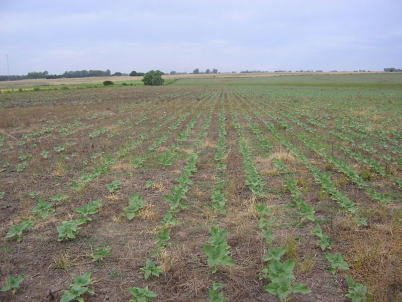 Reforma Agraria