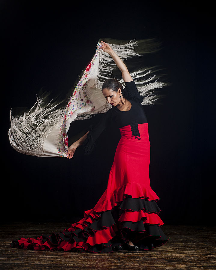 La imagen muestra una imagen de una bailaora de flamenco.
