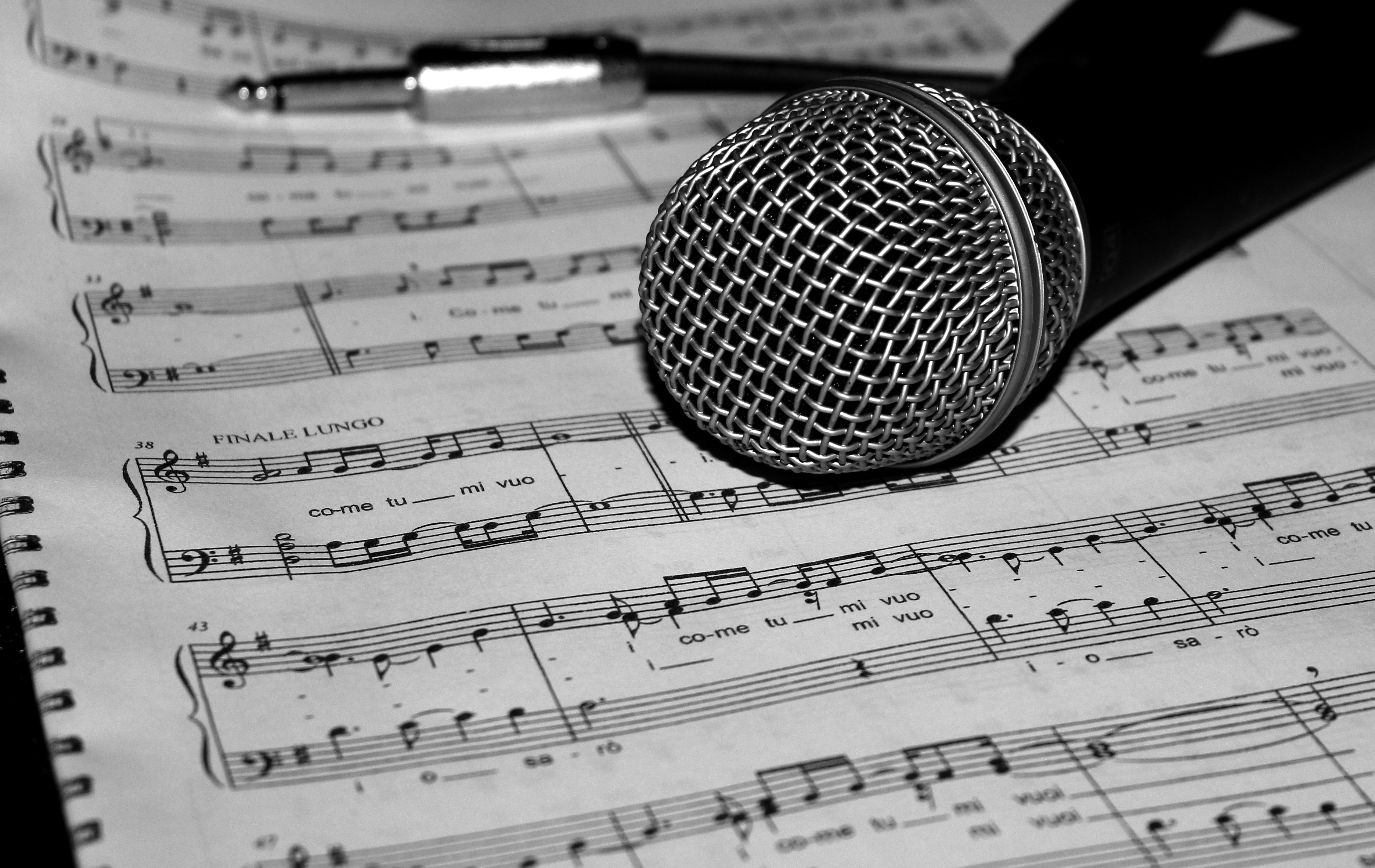 La imagen muestra un micrófono sobre una partitura de una canción