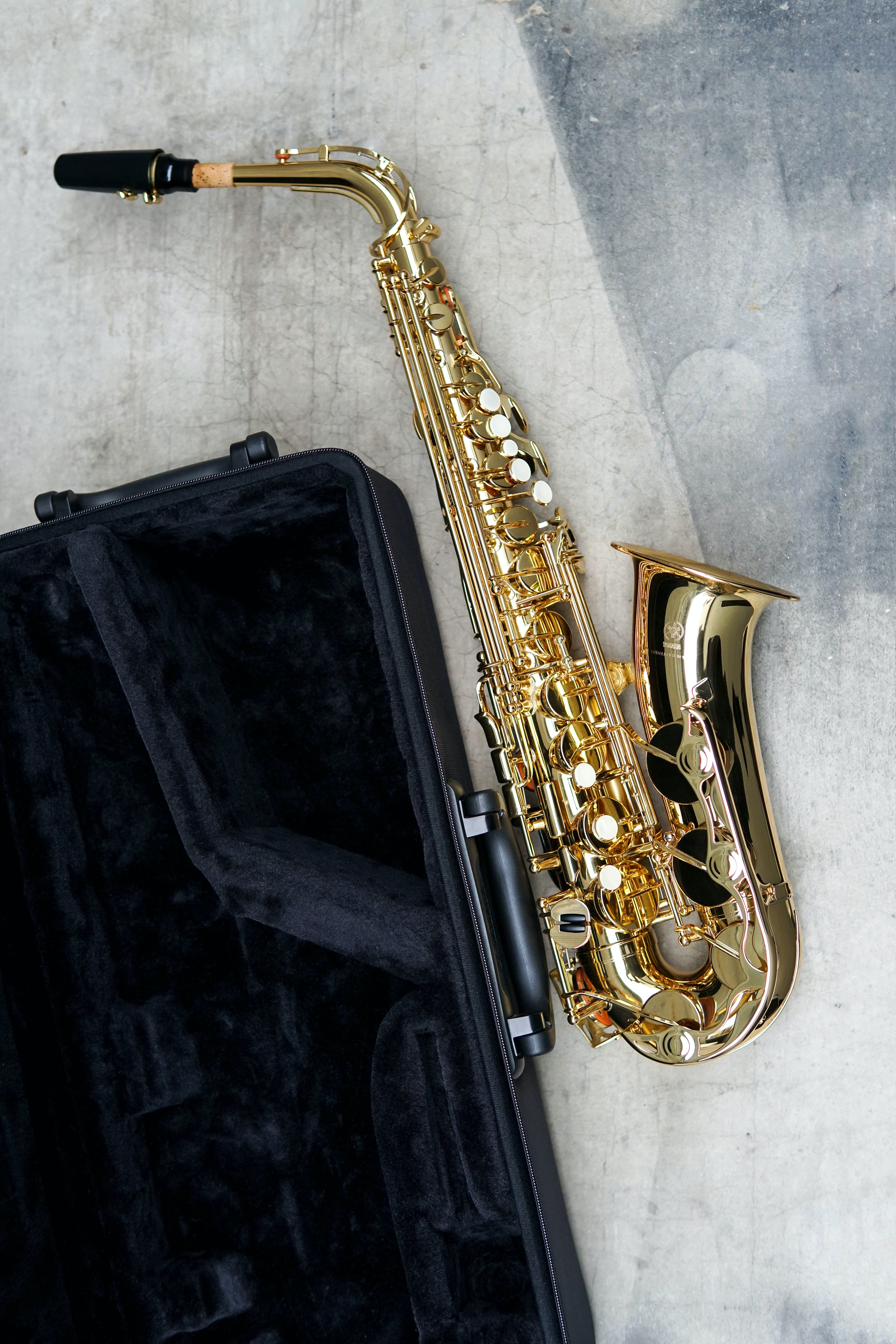 La imagen muestra a un saxophone fuera de su funda.