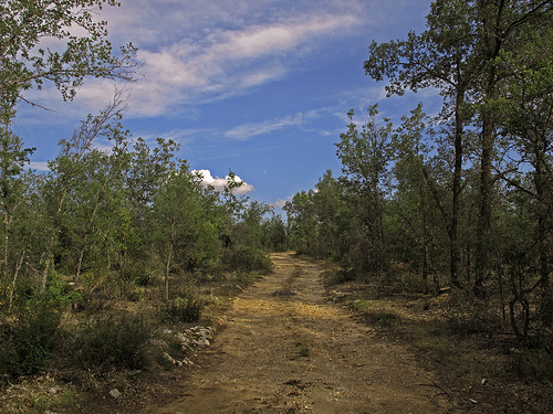 La Alcarria
