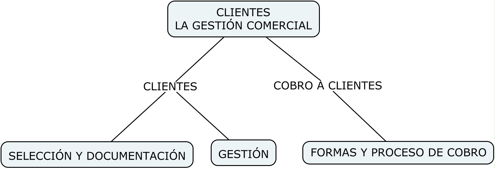 Mapa conceptual 