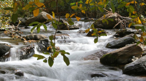Río Genil