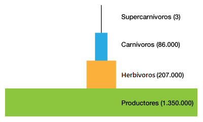 Pirámide de población de individuos de una pradera de 1000m2