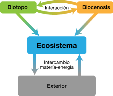 interacción biotopo-biocenosis