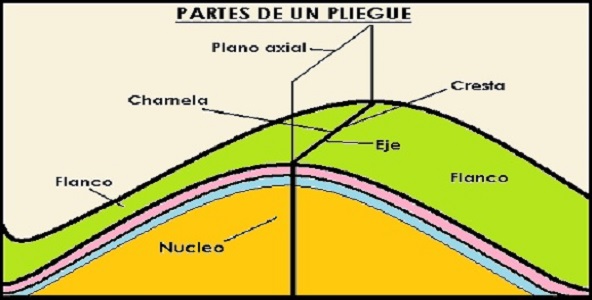 Partes de un pliegue