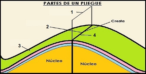 Partes de un pliegue
