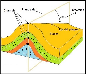 Partes de un pliegue