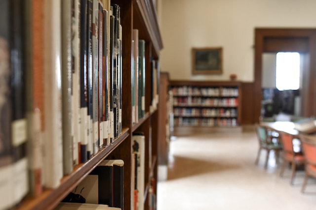 La imagen muestra unas estanterías de biblioteca.