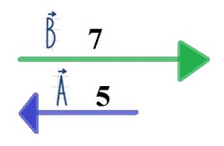 Vectores opuestos