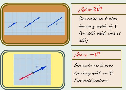Infografía Escalar por vector 1