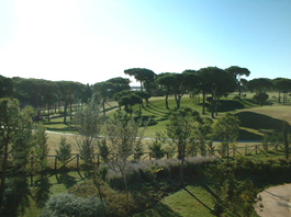 Paisaje