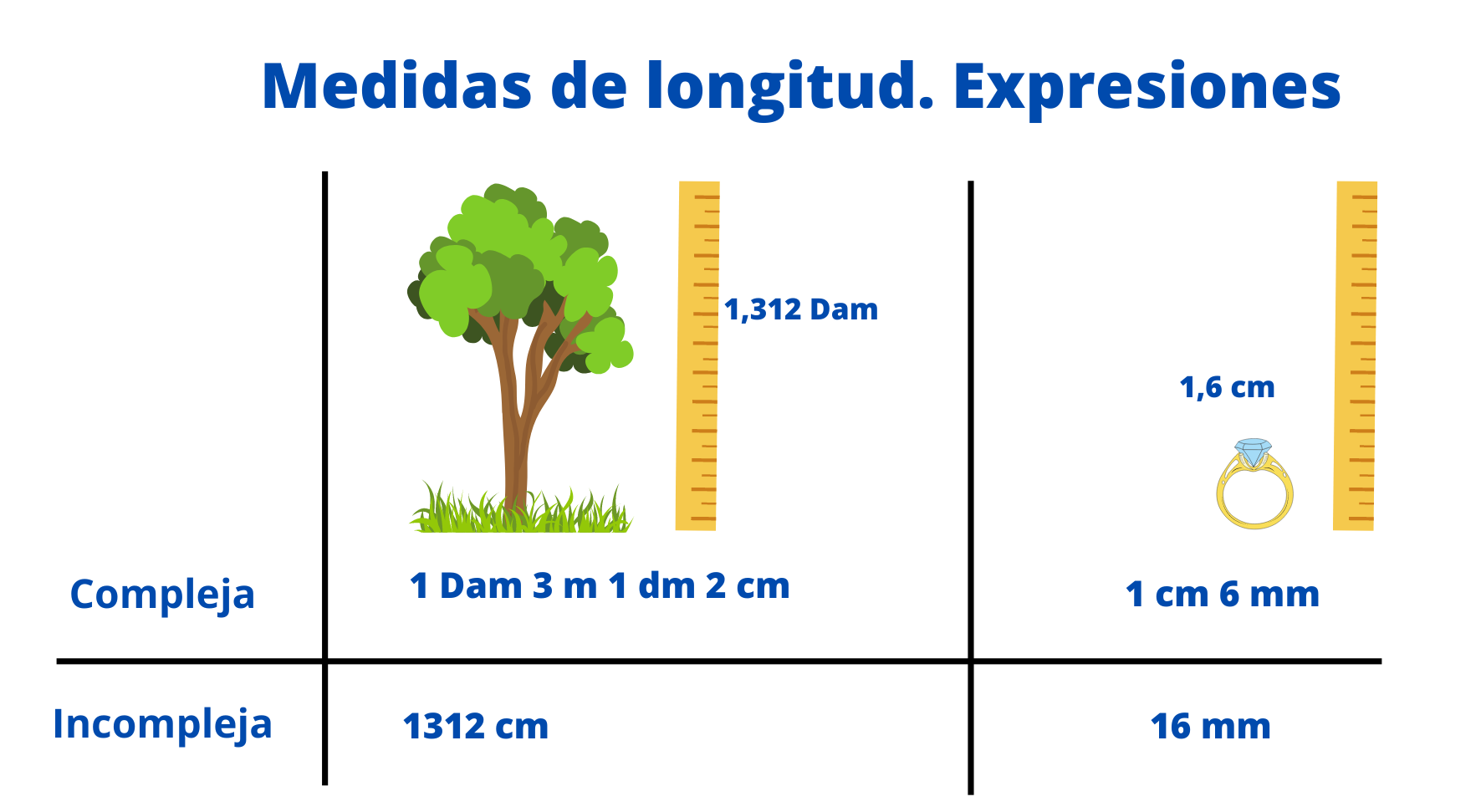 Un árbol, con una regla al lado y su medida. Un anillo con una regla al lado y su medida