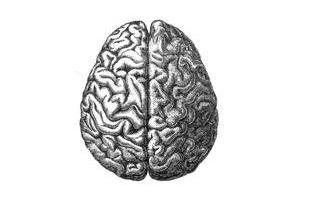 ¿Mente=cerebro?