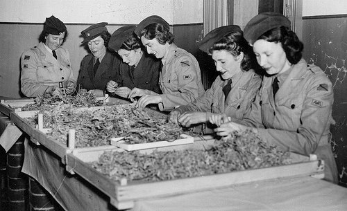 Women at war