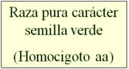 Homocigoto aa