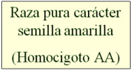 Homocigoto AA