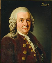 Carl Von Linneo