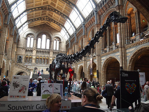 Natural History Museum