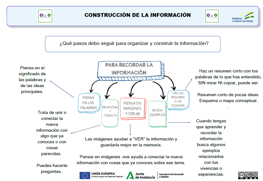 La imagen muestra la estrategia cognitiva sobre construcción de la información del REA 6 de Matemáticas 1º E.S.O 