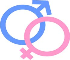 femenino y masculino