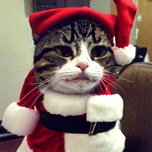 Gato disfrazado de Papá Noel realizado con Stable Diffusion