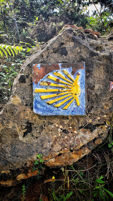 Concha como indicativo Camino de Santiago