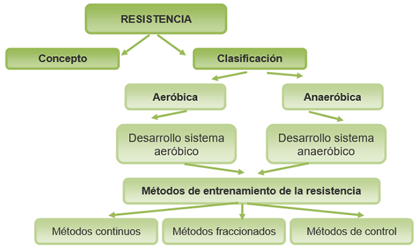 Mapa conceptual Mapa conceptual