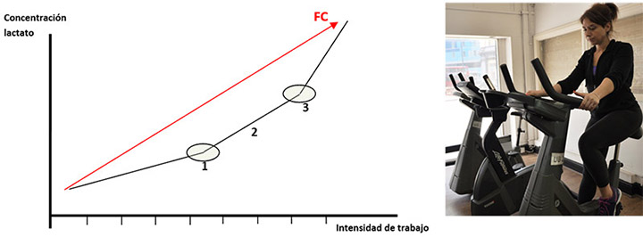 Ejemplo de la respuesta del lactato y la frecuencia cardiaca en una prueba incremental en cicloergómetro