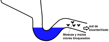 sifón