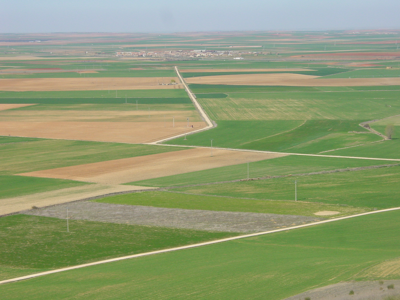La Tierra de Campos es una zona cerealística con materiales más arcillosos.