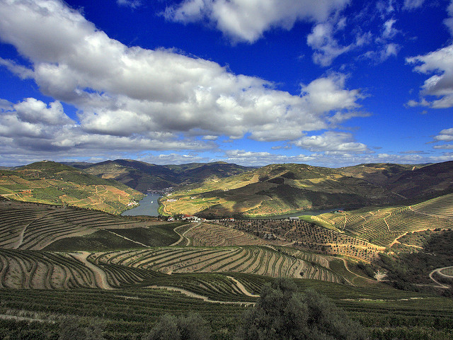  La cuenca del río Duero en la Meseta septentrional es la mayor de todas las cuencas de los ríos que existen en la península. 