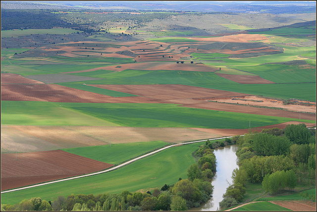  La Cuenca del Duero en su sector nordeste. Provincia de Soria. 