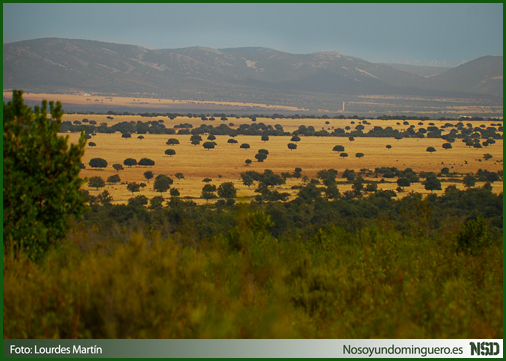  La raña es una formación típica del paisaje de la Meseta del Duero.