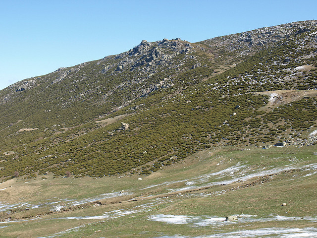  A los terrenos llanos, rasos y altos se les denomina páramos. La Sierra de la Paramera es un ejemplo típico de los mismos. 