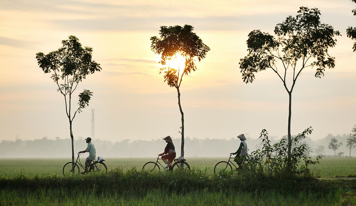 La imagen muestra a tres personas que van en bicicleta en fila india en el campo.