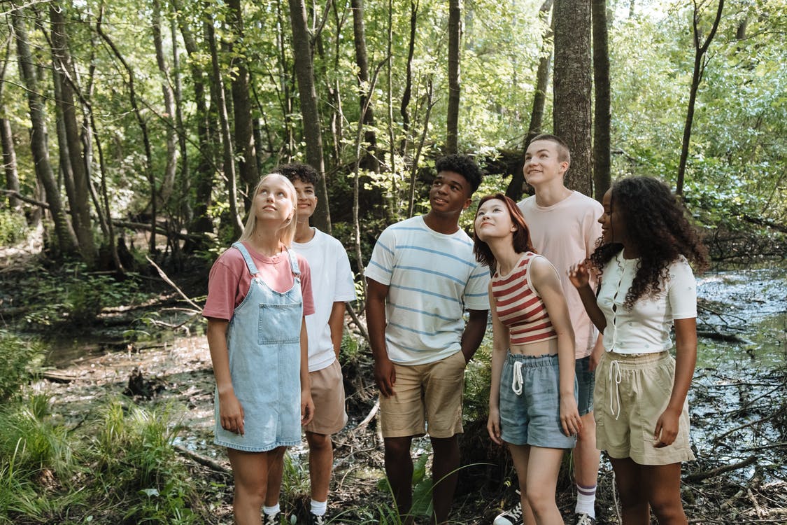 La imagen muestra a un grupo de adolescentes en un bosque.