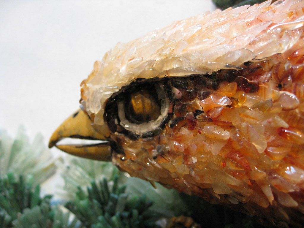 La imagen muestra la cabeza de un águila de perfil.