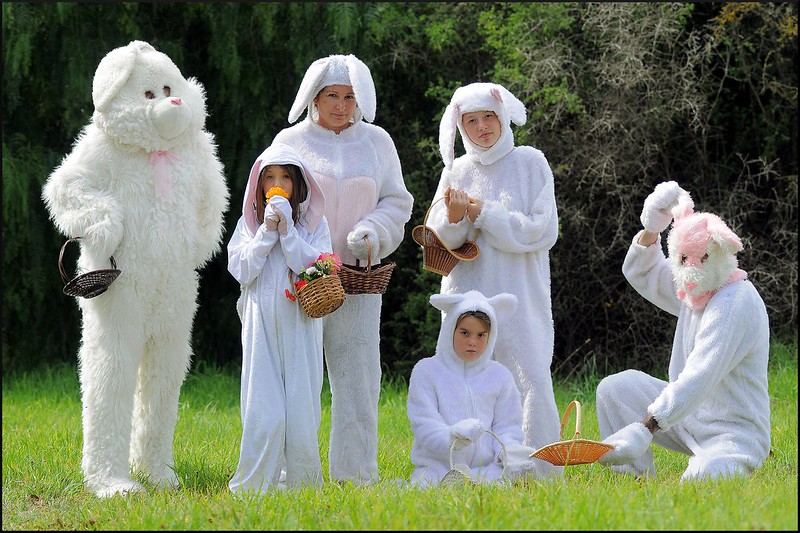 La imagen muestra a un grupo de personas disfrazadas de conejos de pascua de pelo blanco