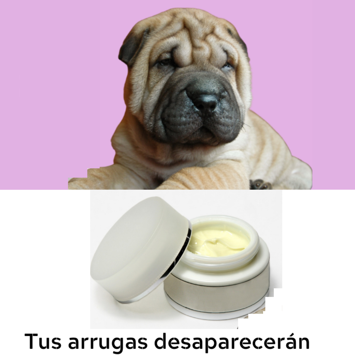 Un perro un un bote de crema