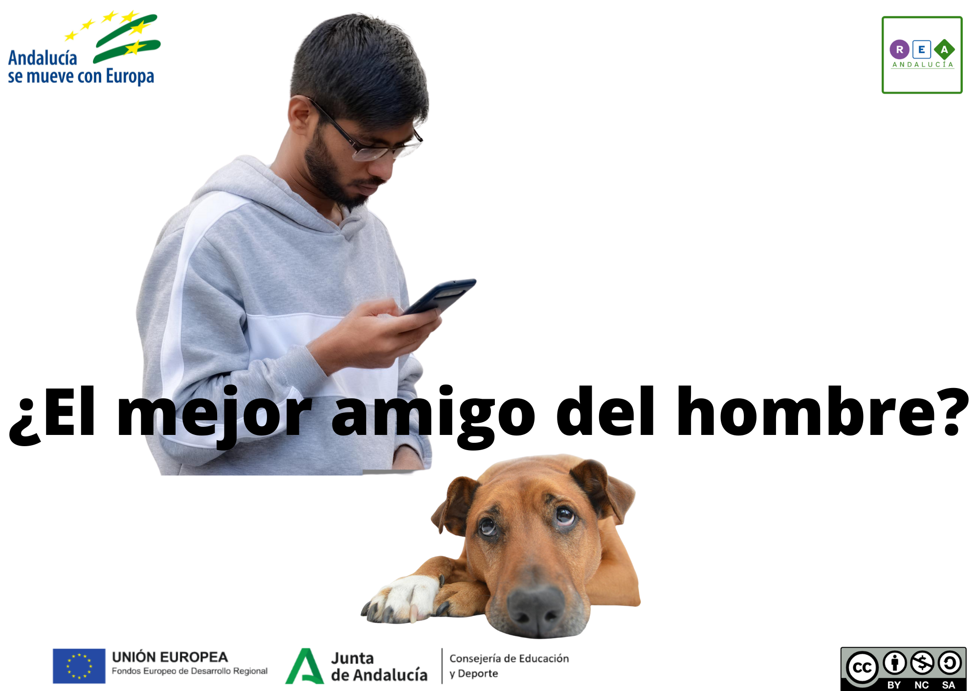 Un chico con un móvil y un perro triste junto con una frase que los relaciona