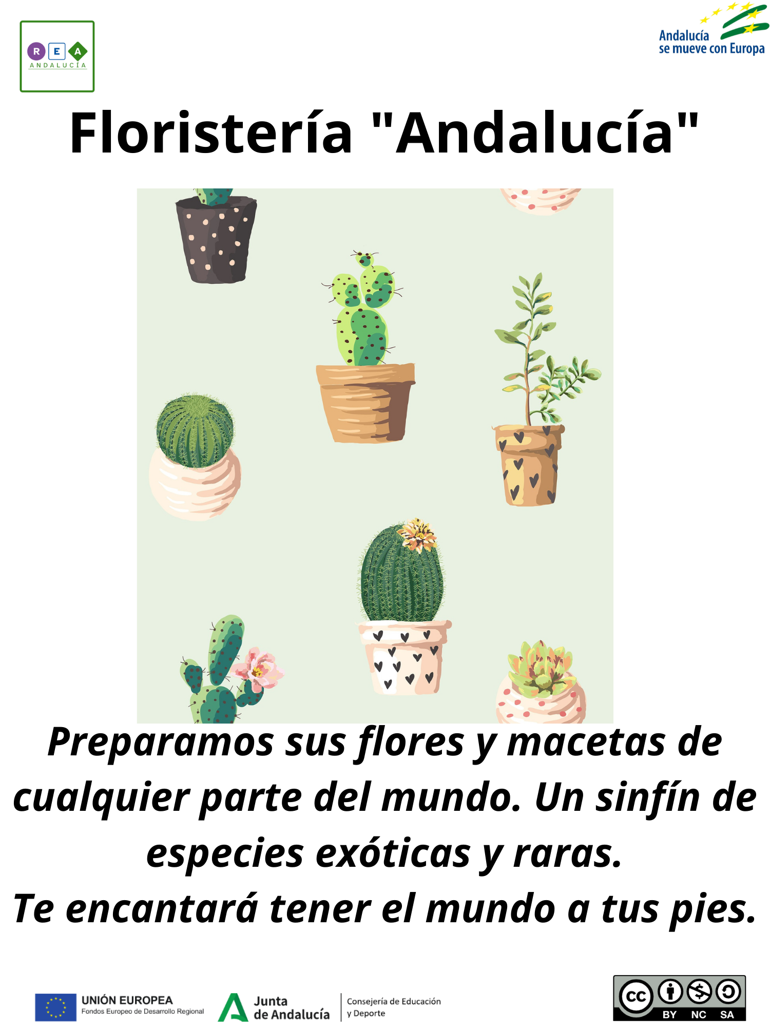 Imagen que muestra varias plantas en sus maceteros