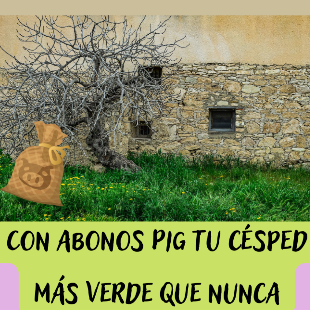 Casa antigua con jardín de césped y un saco de abono