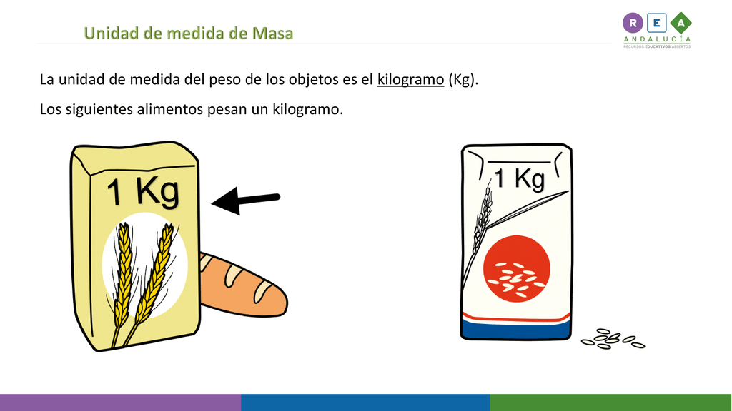 Unidad de medida masa. 
La unidad de medida del peso de los objetos es el kilogramo, k g. 
Los siguientes alimentos pesan un kilogramo.
Un paquete de harina de un kilogramo, un paquete de arroz de un kilogramo. 
