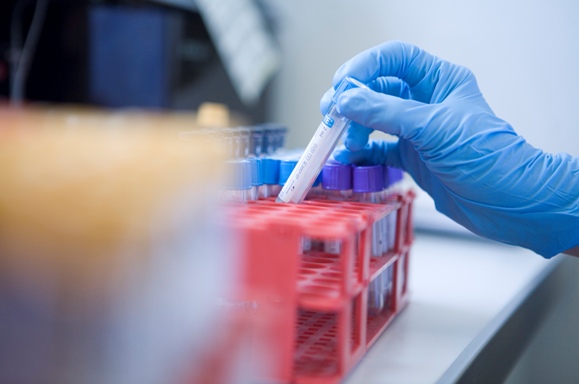 Laboratorio
