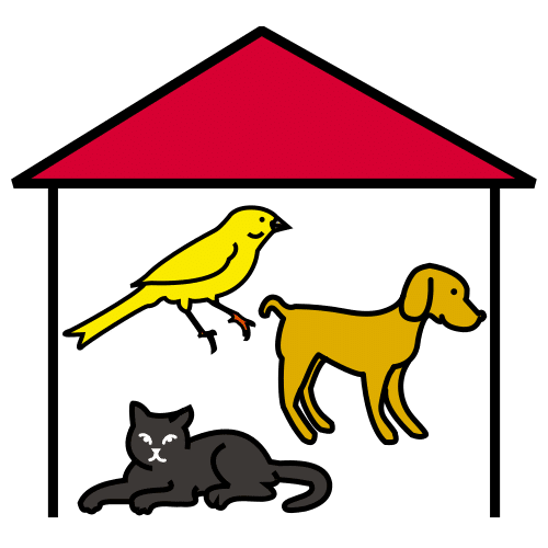 Dibujo de una casa con un perro, un gato y un pájaro dentro.