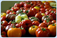 Tomates