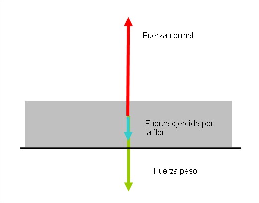 Esquema de fuerzas